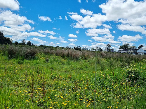 Sitio En Sector Céntrico De La Comuna De Los Muermos