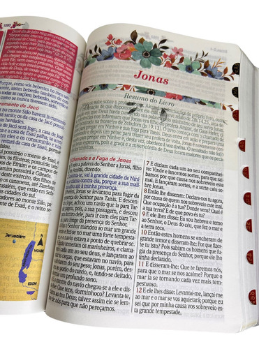 Bíblia De Estudo Da Mulher Sábia Full Color Com Harpa Capa Magnólia Pink Com Índice