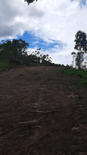 Imagem 25 de 28 de G30- Terrenos Em Igaratá Com Um Preço Acessível