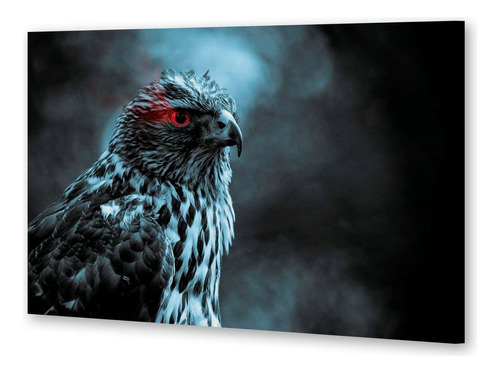 Cuadro 60x90cm Aves Blanco Y Negro Ojo Rojo Espectacular