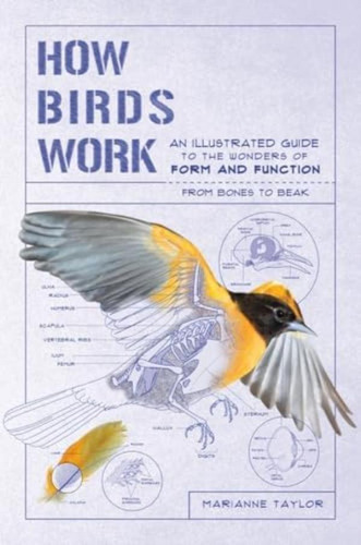 Libro: How Birds Work: An Illustrated Guide To The Wonders