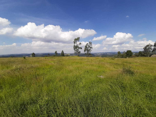 Imagem 4 de 13 de Lotes Com Excelente Topografia De 1000² Em São Roque