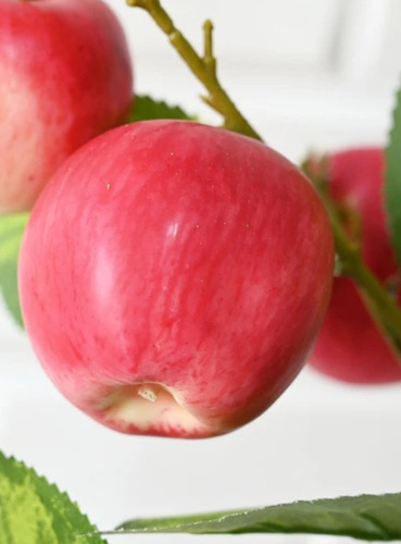 Planta Artificial Frutal Con Maceta