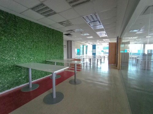 Imagen 17 de 30 de Oficinas En Alquiler 4240 M2 En Edificio Lumina Thames San Isidro, Certificacion Leed Green Buiding