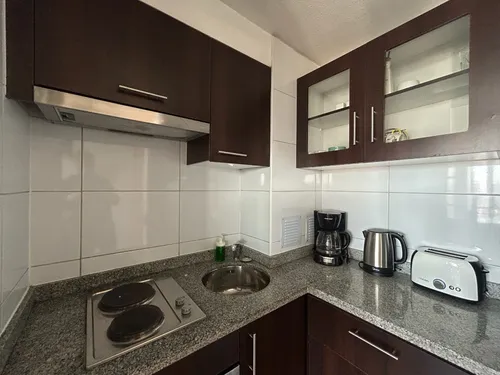 Arriendo Departamento Moderno Y Luminoso Santiago Centro