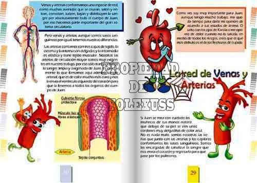 Libro Cuerpo De Juan-anatomía Para Niños