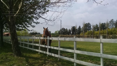Imagen 10 de 10 de Gb Propiedades-excelente Lote En Venta!!!