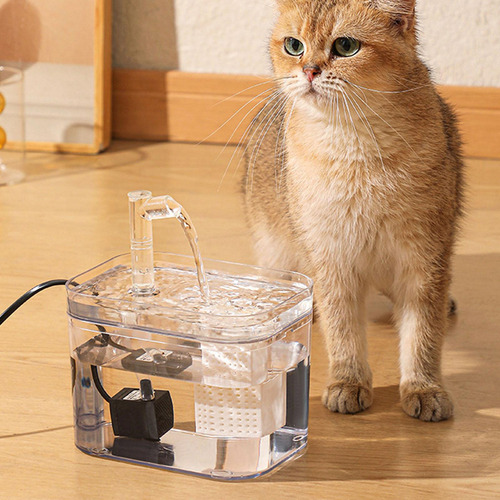 Dispensador De Comida Para Gatos, Cuenco De Agua Ligero Con