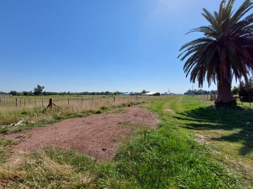 Vendo Lote Grande En Un Pueblito Rural, Saladillo