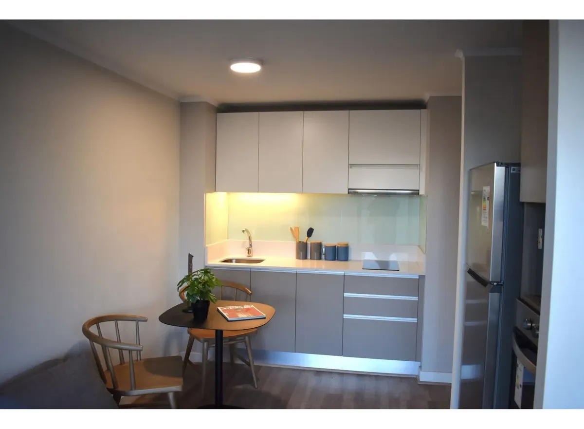 Imagen 3 de 28 de Arriendo Departamentos Nuevos, 1d1b, Metro Parque Almagro