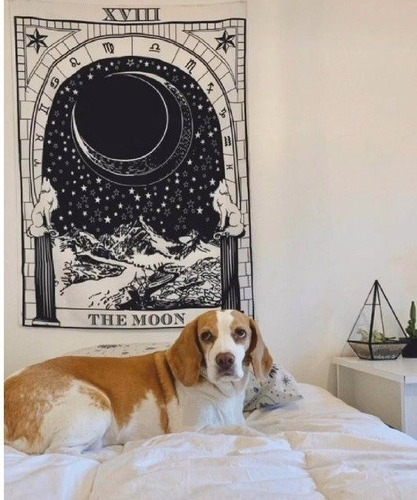 Tapiz Paño Carta De Tarot The Moon La Luna - Grande