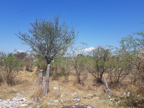 Imagen 6 de 7 de Terreno En Venta Plan De Ayala