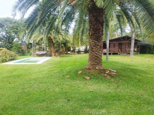Imagen 12 de 24 de Se Vende 1ha. Con 3 Casas Sobre Ruta 11 Km 450