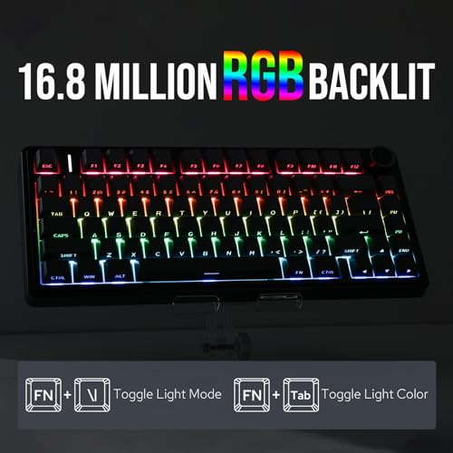 Epomaker Aula F75: Teclado Mecánico Rgb Intercambiable En Ca
