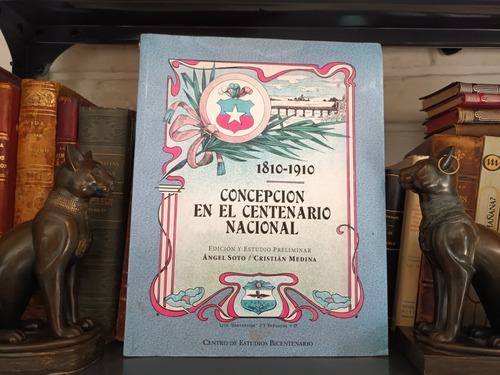 Concepción En El Centenario Nacional - Angel Soto, C. Medina