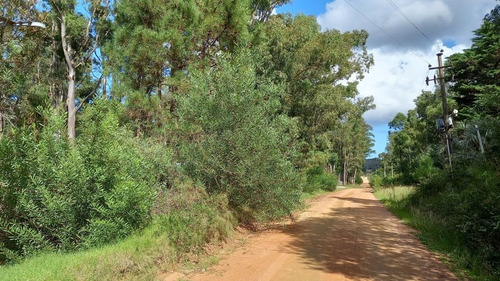 Imagen 2 de 17 de Lote En Venta En La Barra (ref: Atm-6651)