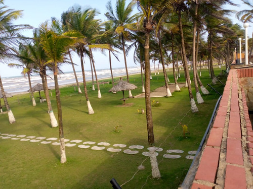 Imagen 26 de 29 de Hermoso Apartamento De Playa En Tucacas