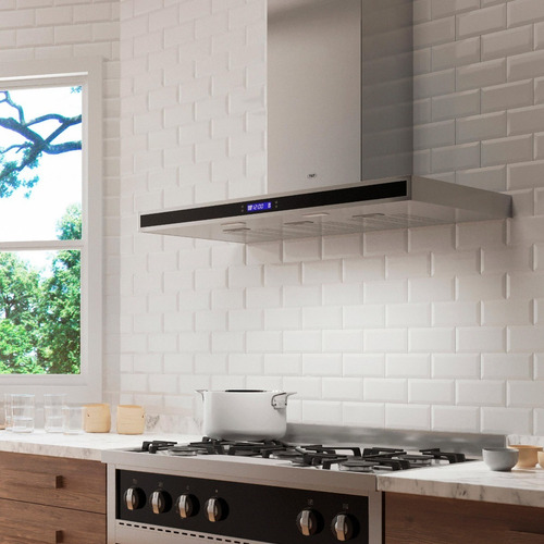 Imagen 6 de 10 de Extractor De Cocina Tst Colhue Ac. Inox. 750mmx60mmx510mm