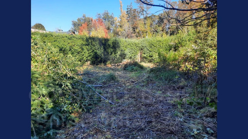 Imagen 9 de 17 de Venta Lote/terreno 1500m2 Selva Triste, Villa La Angostura