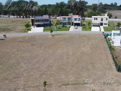 Imagen 7 de 14 de Venta - Lote En Terralagos