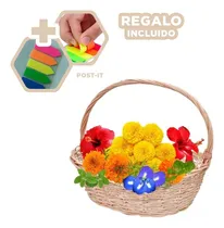 Comprar Canastilla Util De Alimentos 33x24x30 Y+post-it Adhesivos