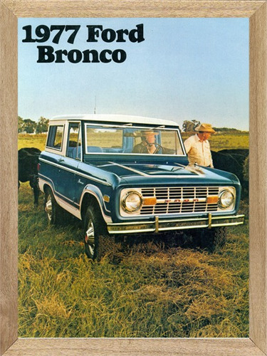 Cuadro Decorativo  Auto Ford Bronco 1977   E214