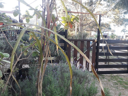 En Alquiler Temporada! Cabaña Cambalache, Casa De Madera, Monoambiente. A 350mts. De La Playa, Zona La Viuda, Para 2 O 3 Adultos, Punta Del Diablo, Rocha, Uruguay.