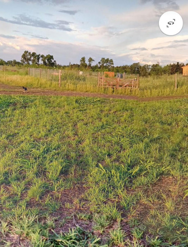 Terreno En Venta En Los Reartes, Cordoba
