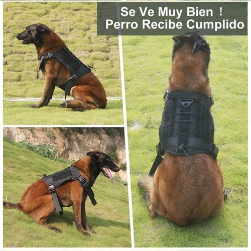 Arnés Táctico Profesional Ajustables Para Perros Grandes
