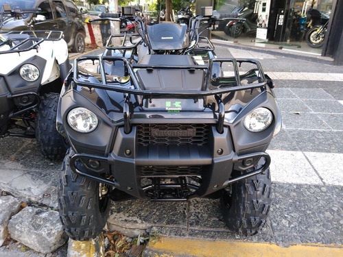 Imagen 8 de 15 de Kawasaki Brute Force 300 ( No Honda Fourtrax Grizzly )