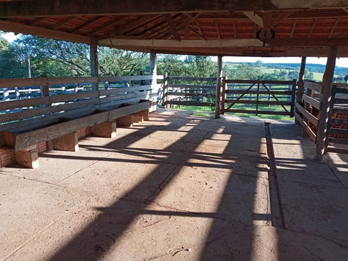 Imagem 9 de 16 de Sítio 15 Alqueires, Rica Em Água Com Açude, Nascente E Rio Na Propriedade, Casa Sede Com 3 Suítes, Sala Com Lareira,área Gourmet, Piquetes E Mangueira - St00151 - 70455553