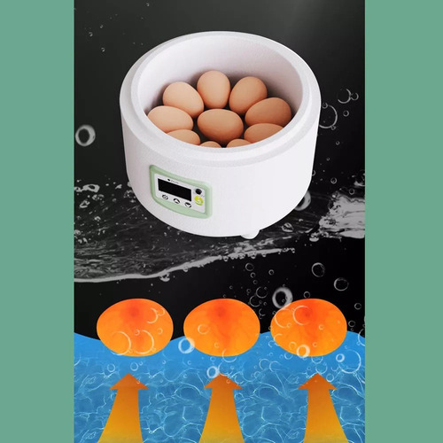 Mini Incubadora De Ovos, Ferramenta De Incubação De Aves