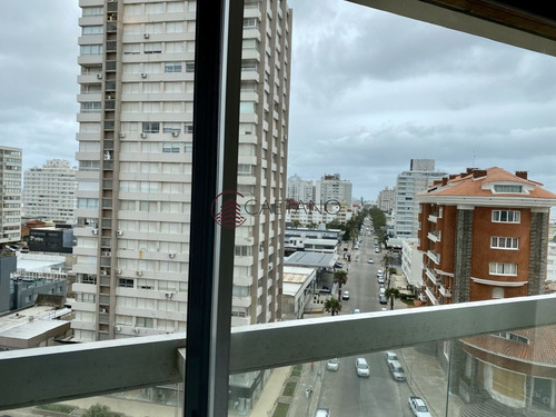 Imagen 23 de 25 de Exclusividad En La Mansa - Punta Del Este Mansa