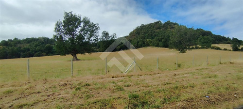Sitio - 5.000 M2 Cada Uno - Cascadas - Puerto Octay