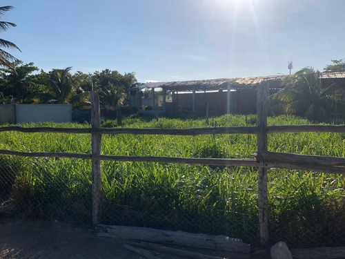 Imagen 14 de 16 de Terreno En Venta En Puerto Progreso, Yucatán