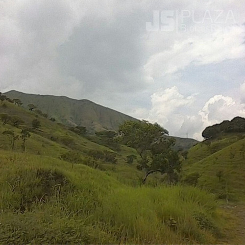 Imagen 6 de 7 de Terreno En Venta/ San Juan De Los Morros/ 04128859981