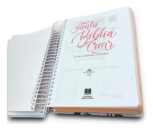 Bonita Biblia Crear Para Ilustrar Rvr60 Journaling Argollada