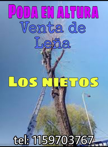 Imagen 2 de 7 de Podas En Altura Arboles Y Talas Limpieza ,y Tala De Palmera
