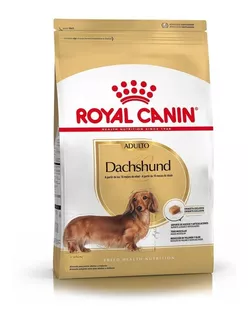 Alimento Royal Canin Breed Health Nutrition Dachshund para perro adulto de raza mini y pequeña sabor mix en bolsa de 3 kg
