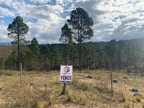 Imagen 2 de 6 de Lote Escriturado De 7432 M2 En Los Reartes- Cordoba