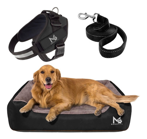 Super Combo / Cama Para Perros 2xl + Pechera Xl + Paseador