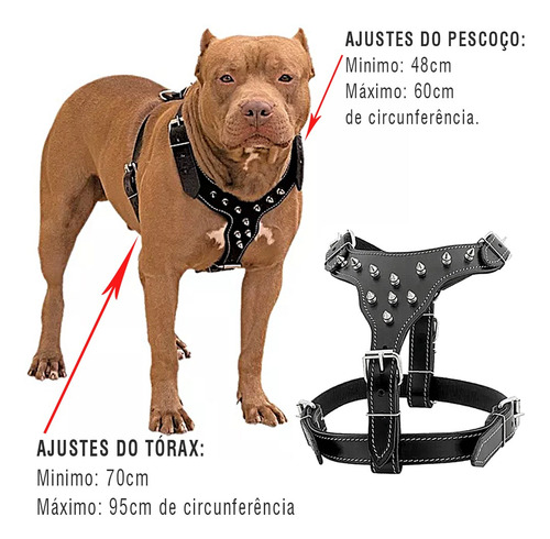 Coleira Peitoral Para Pitbull Rottweiler Guia Para Cachorros Cor Dourado