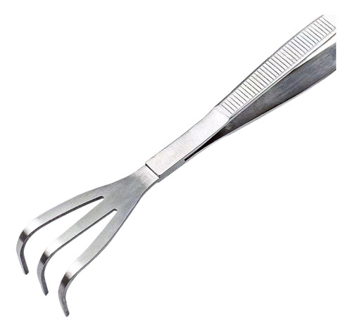 Pinça Para Bonsai, Pinça Para Ancinho De Raiz, Ferramentas