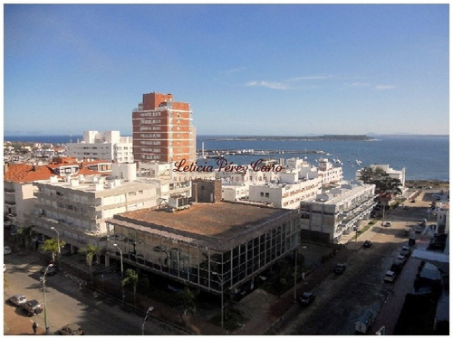 Imagen 5 de 26 de Venta Apartamento En Peninsula, 1 Dormitorios