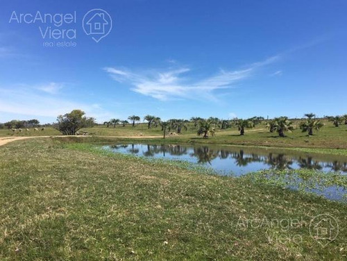Chacra En Venta Con Costa Laguna Del Sauce - Punta Ballena