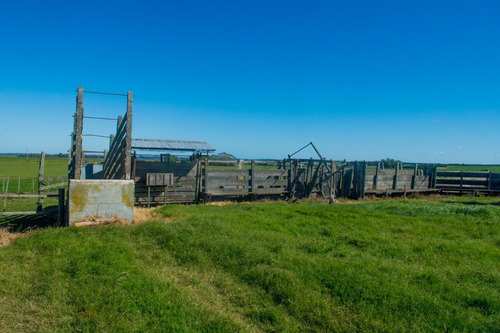 Vendo Campo De 242 Hectas En Proximidades A Ciudad De Libertad