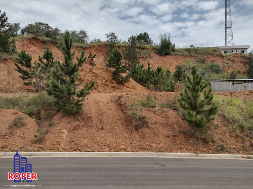Imagem 1 de 5 de Excelente Terreno Plano De 750 M² À Venda No Recanto Maravilha Iii, Santana Do Parnaiba - Te00041 - 69470926