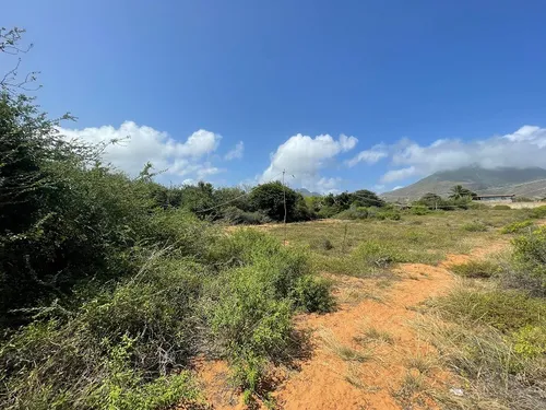 Terreno En El Tirano