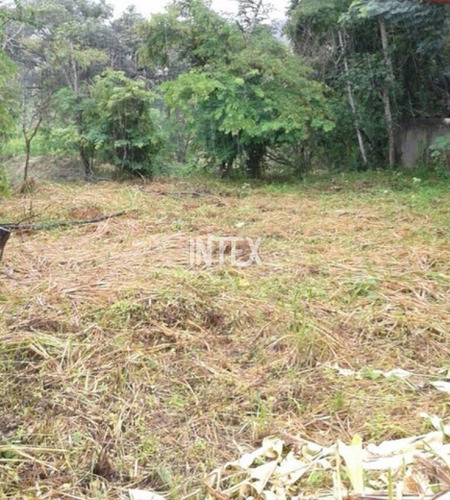 Imagem 6 de 13 de Excelente Terreno Na Estância De Pendotiba Plano Para Venda. - Te00057 - 69034123