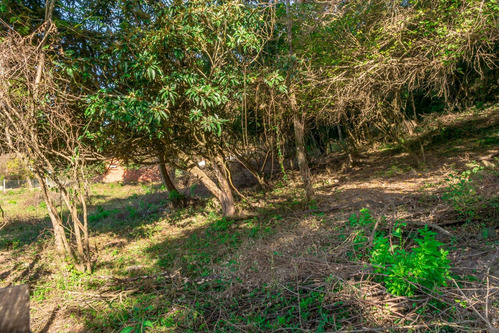 Terreno En Venta Castellanos 4124 M2
